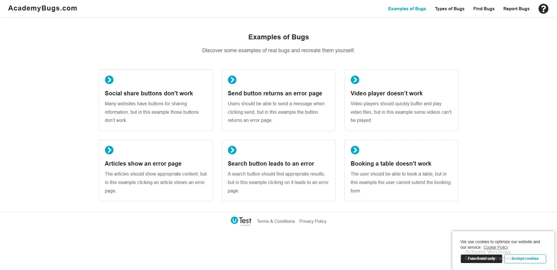 Academy Bugs website preview